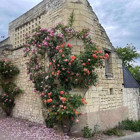 홈스테이 Le Colombier Le Coudray-Macouard