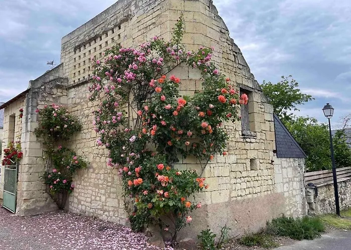 ホームステイ Le Colombier Le Coudray-Macouard